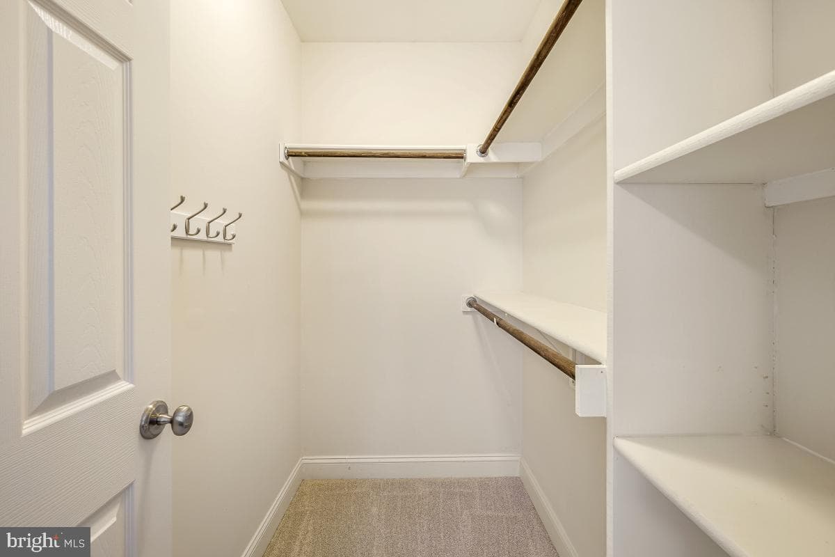 17512 Carlson Farm Court photo 47