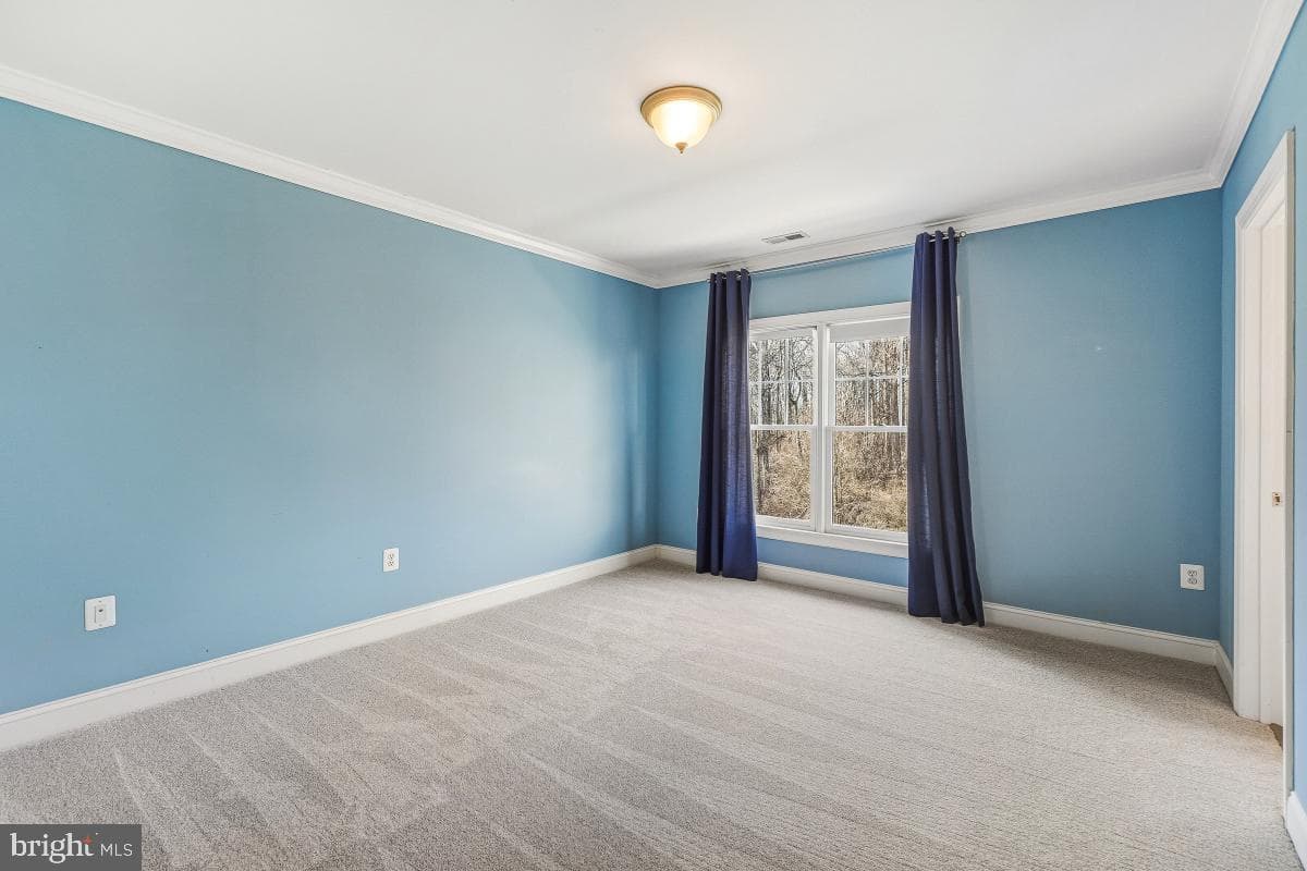 17512 Carlson Farm Court photo 48