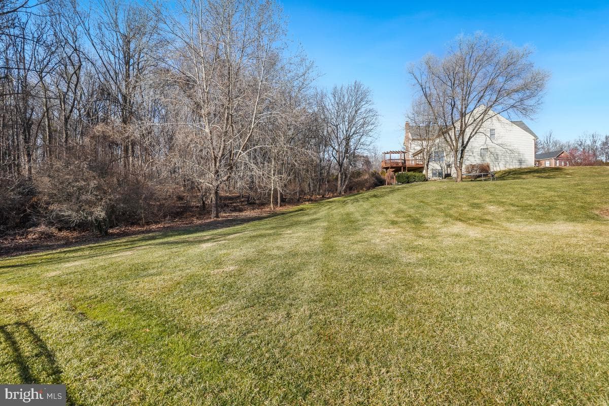 17512 Carlson Farm Court photo 64