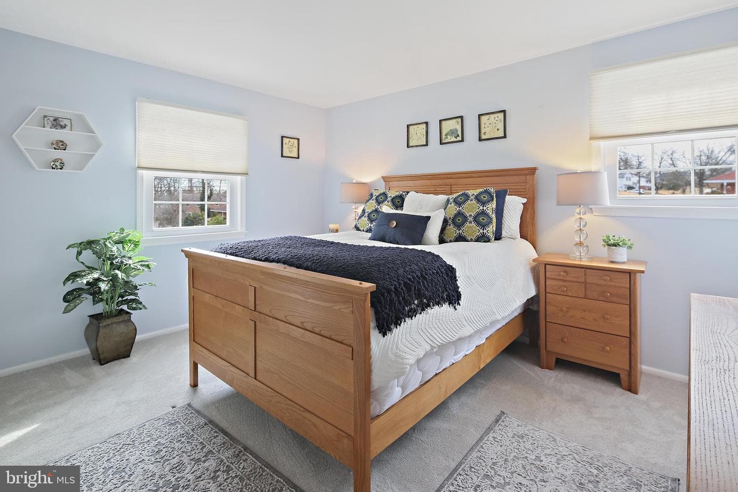 12624 Summerwood Drive photo 20
