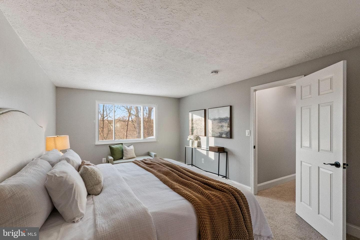 10133 Peanut Mill Drive photo 30