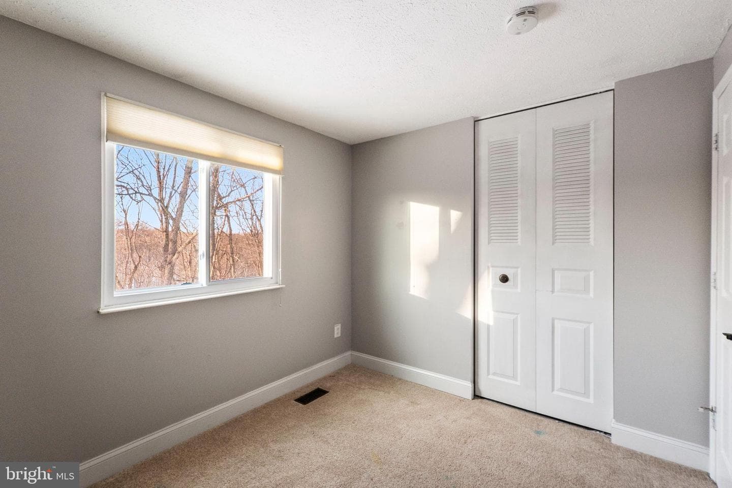 10133 Peanut Mill Drive photo 37