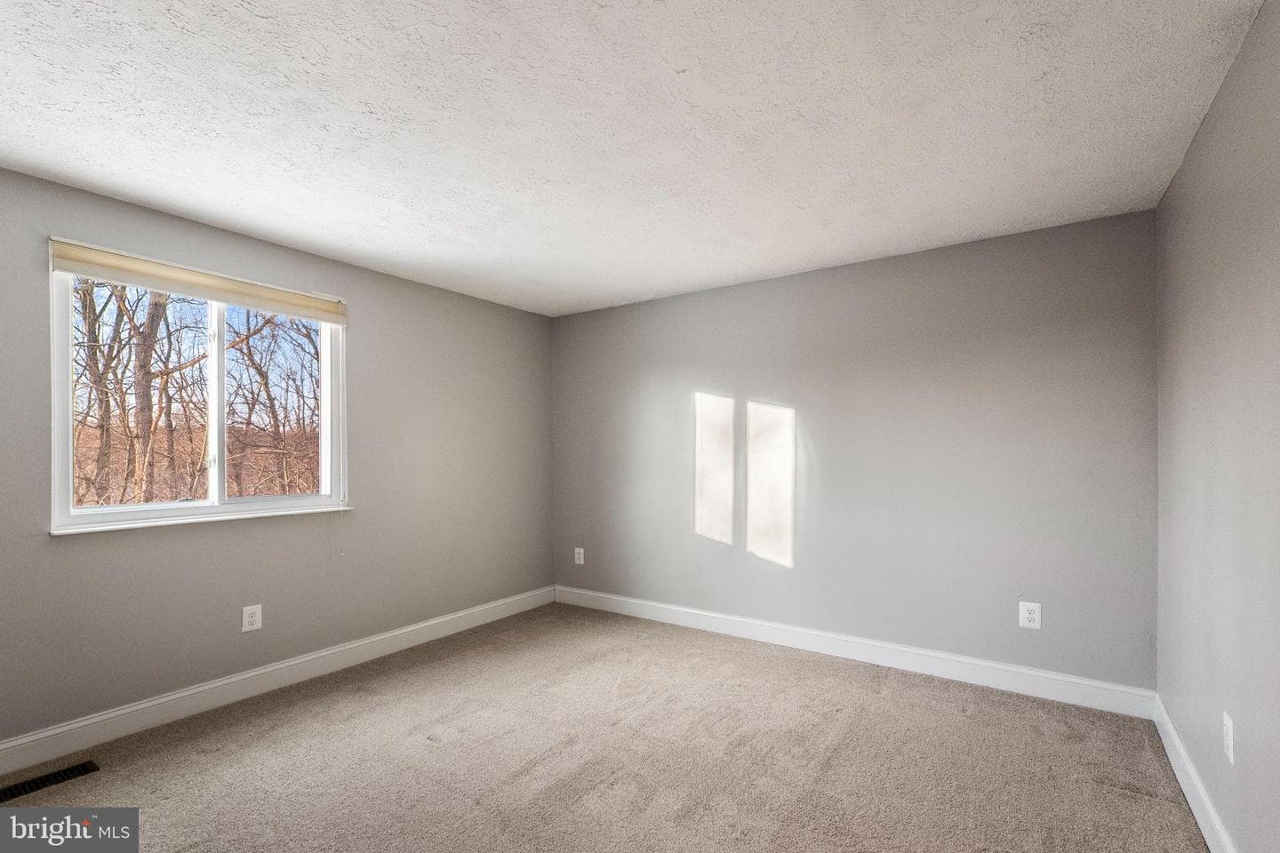 10133 Peanut Mill Drive photo 40