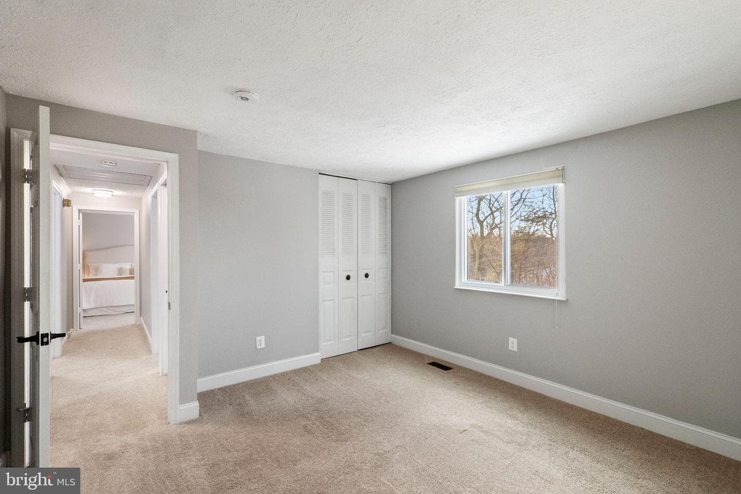 10133 Peanut Mill Drive photo 41