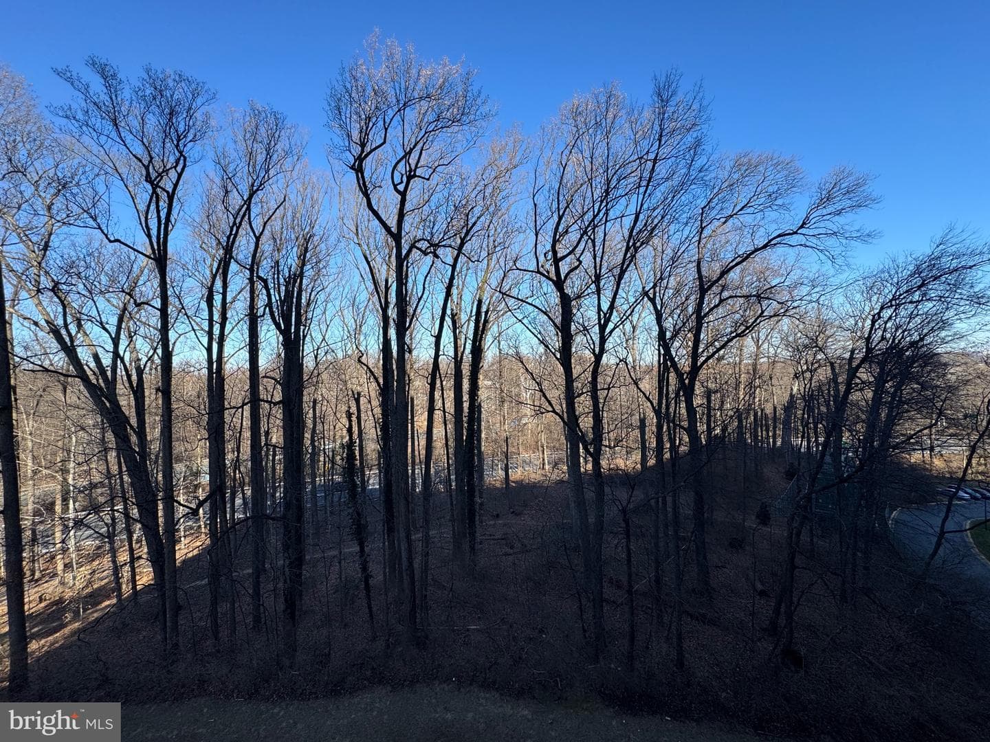 5225 Pooks Hill #710n photo 65