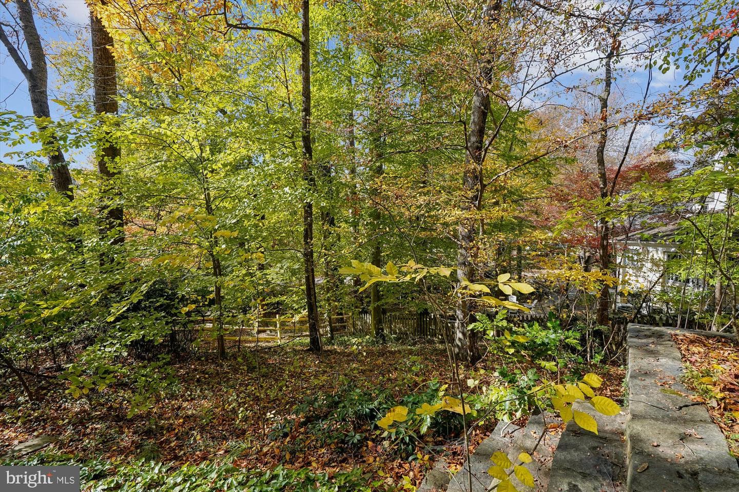 7117 Darby Road photo 58