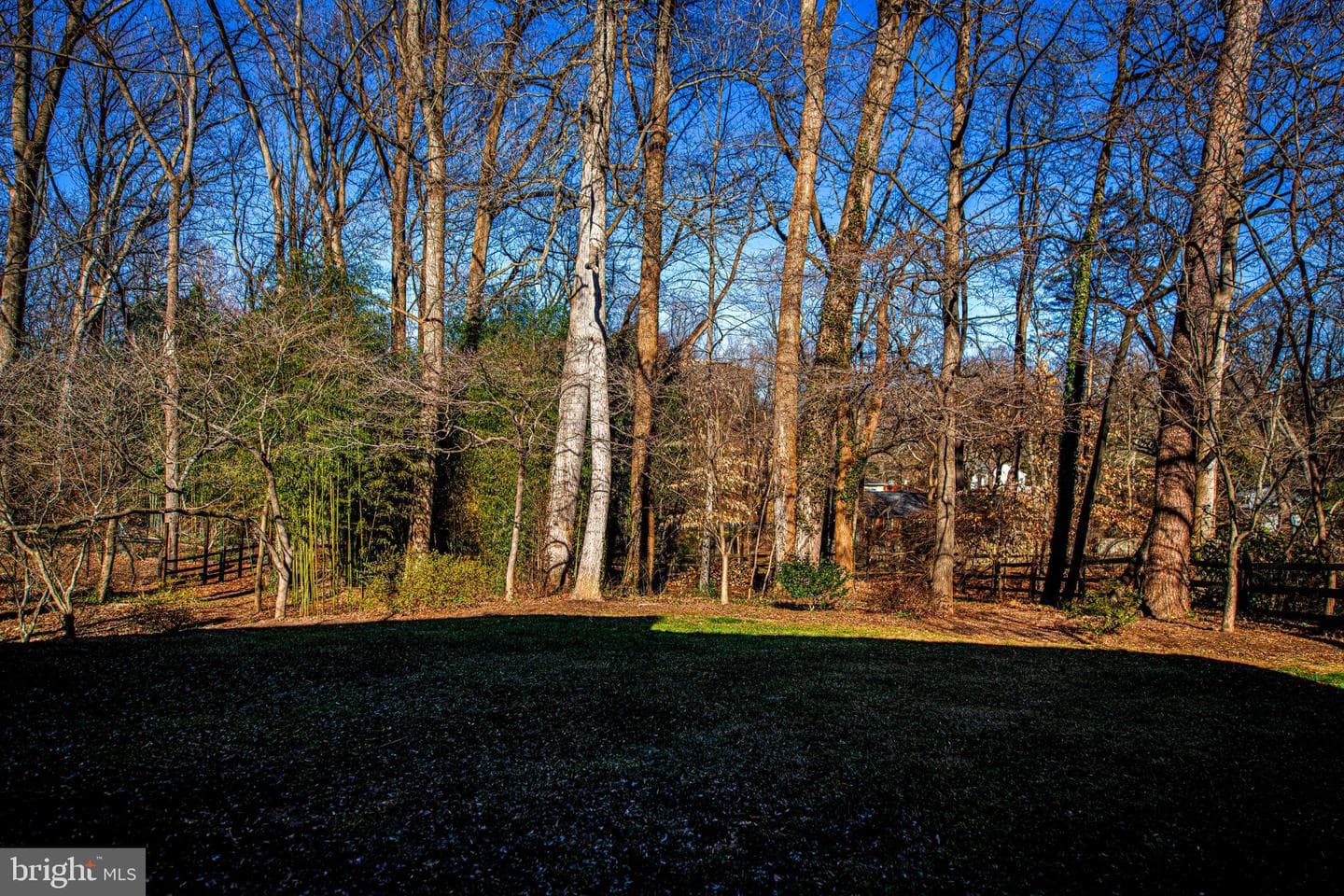 644 Symphony Woods Drive photo 10