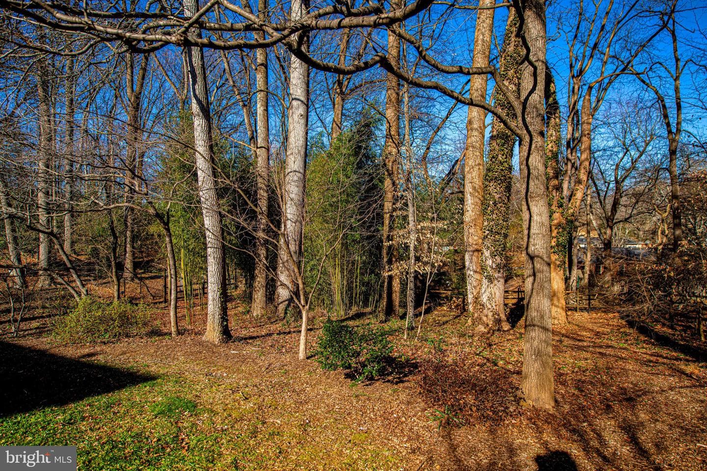 644 Symphony Woods Drive photo 11