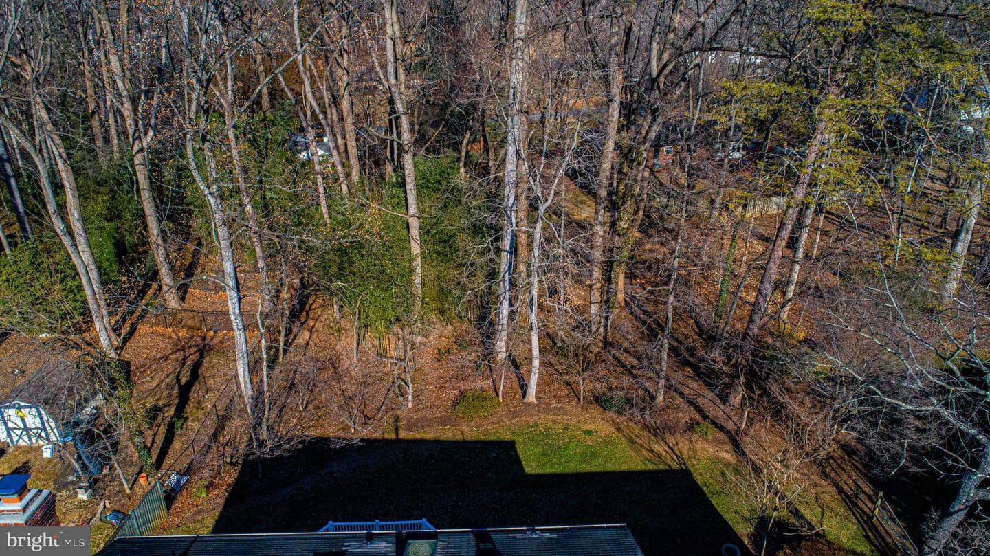 644 Symphony Woods Drive photo 12