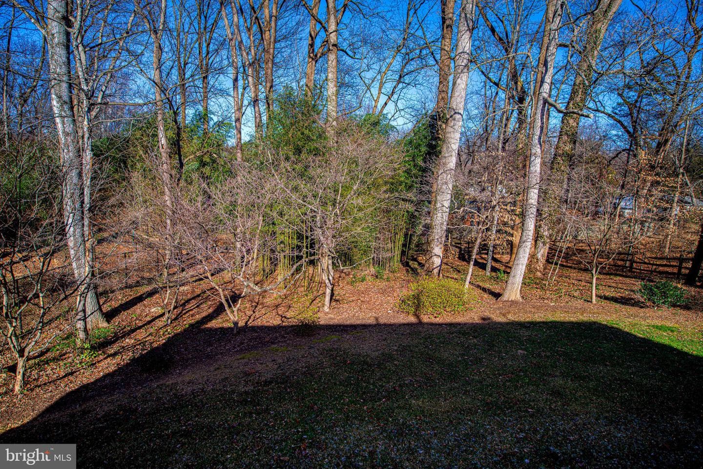 644 Symphony Woods Drive photo 13