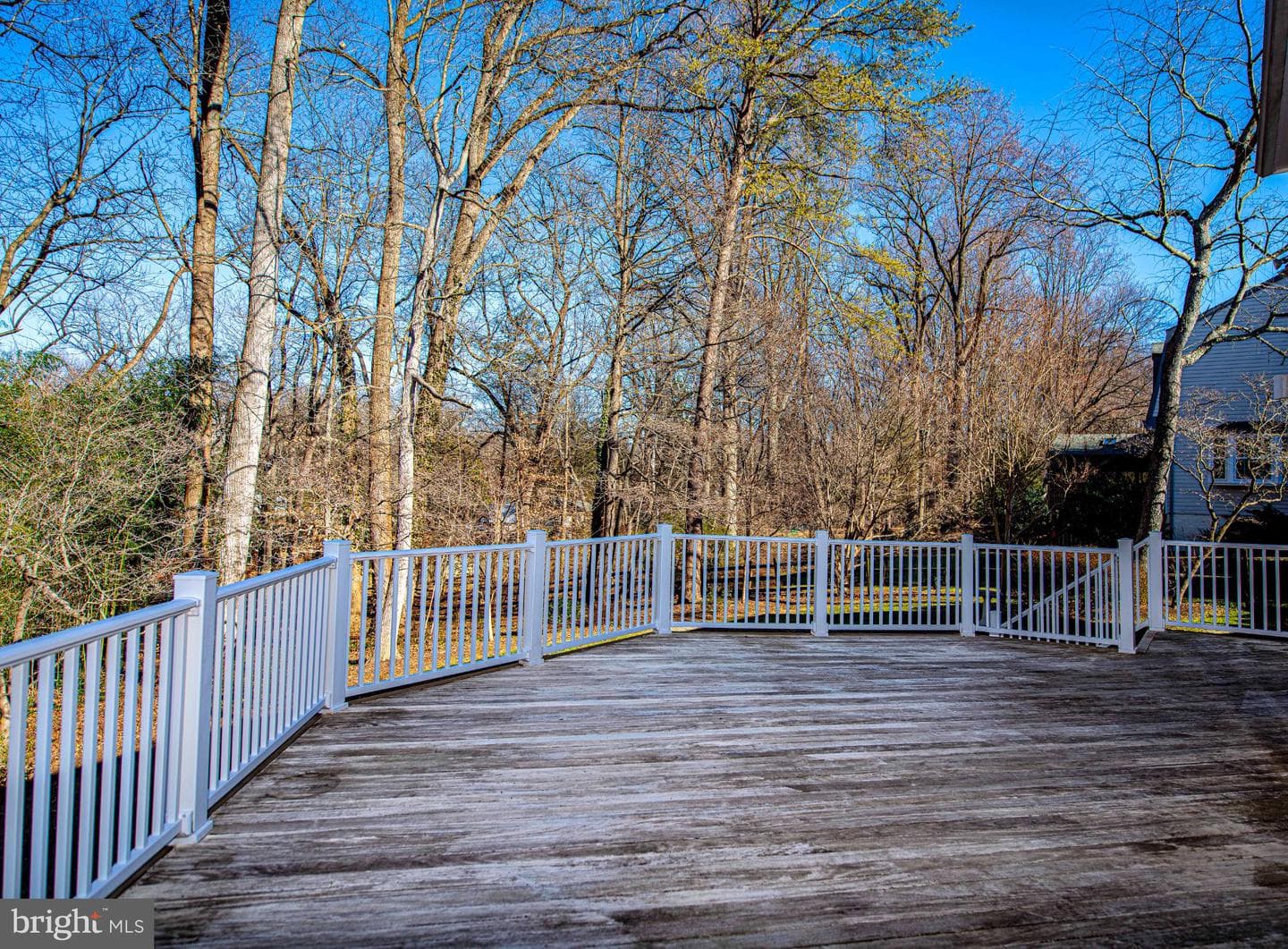 644 Symphony Woods Drive photo 49