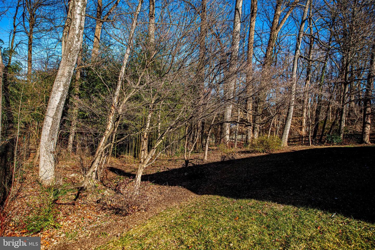 644 Symphony Woods Drive photo 9