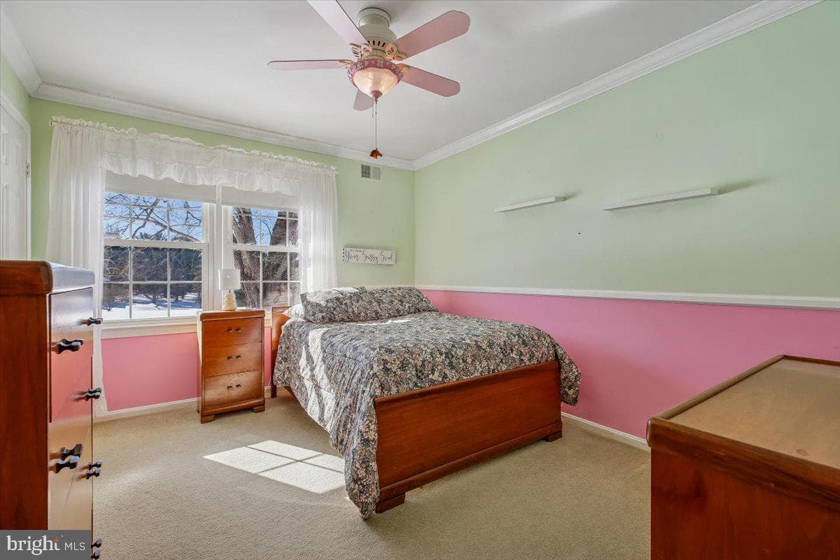 6205 Beechdale Court photo 39
