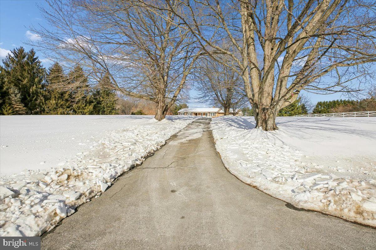 6205 Beechdale Court photo 60