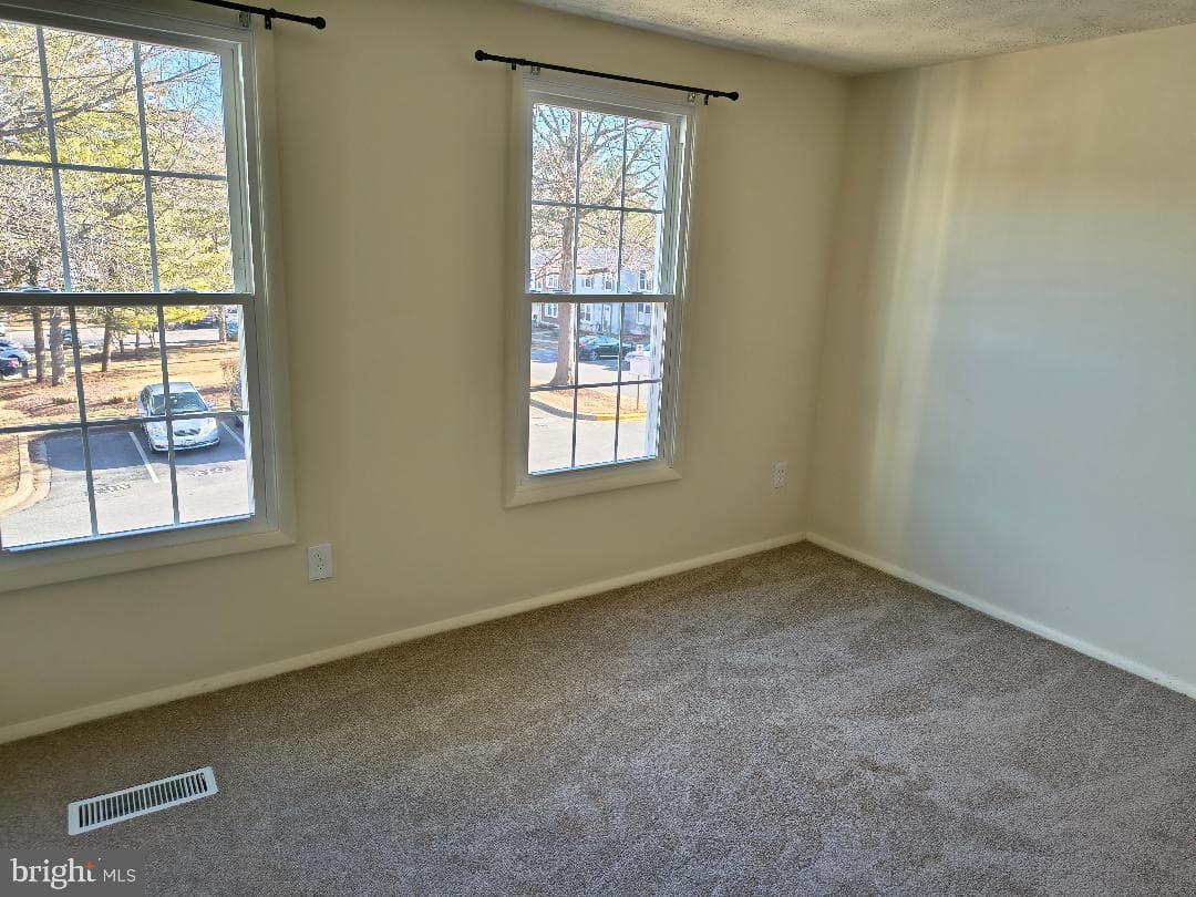 12502 Laurel Grove Place photo 9