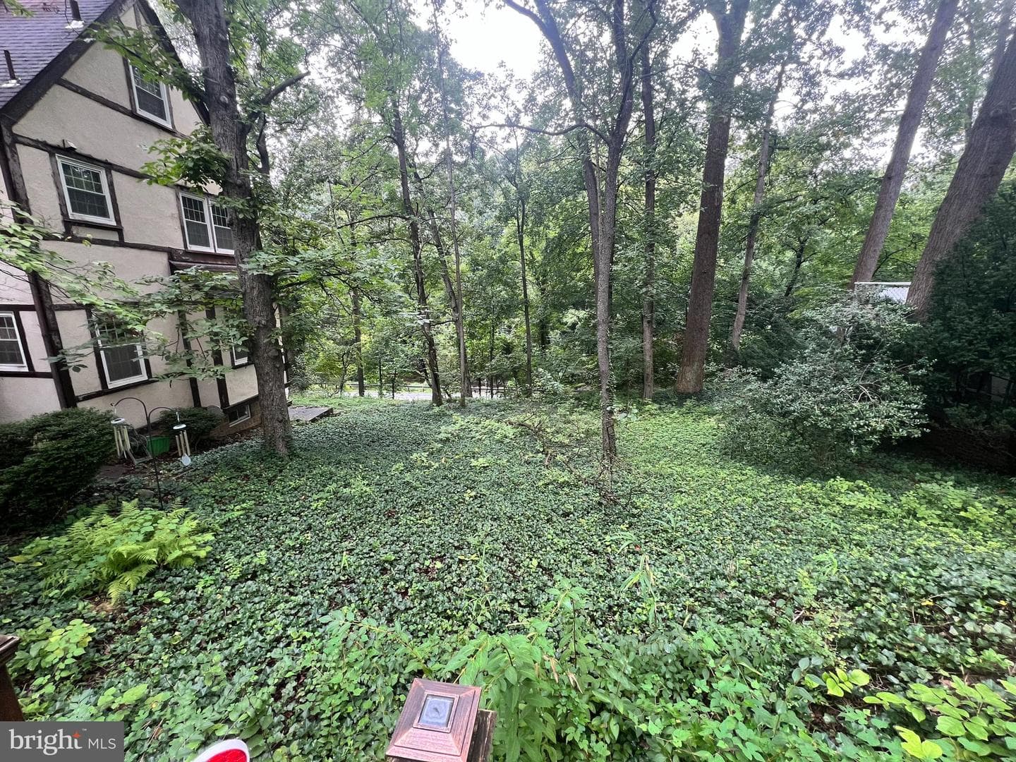 911 Sligo Creek Parkway photo 11