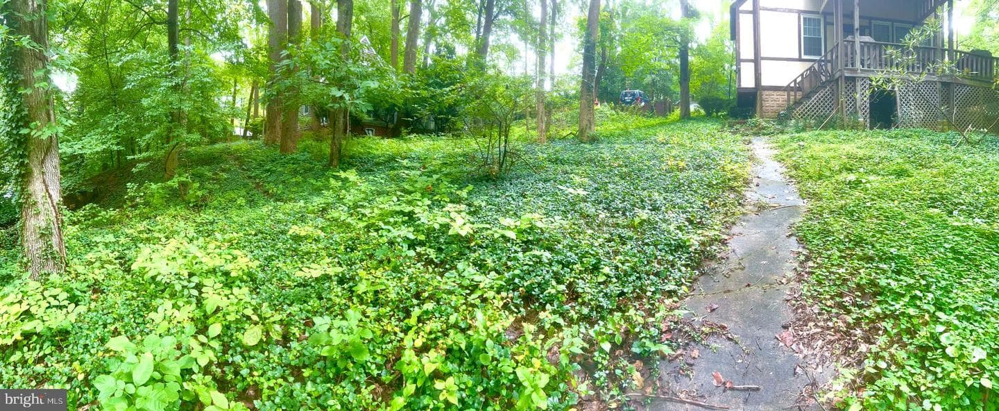 911 Sligo Creek Parkway photo 15