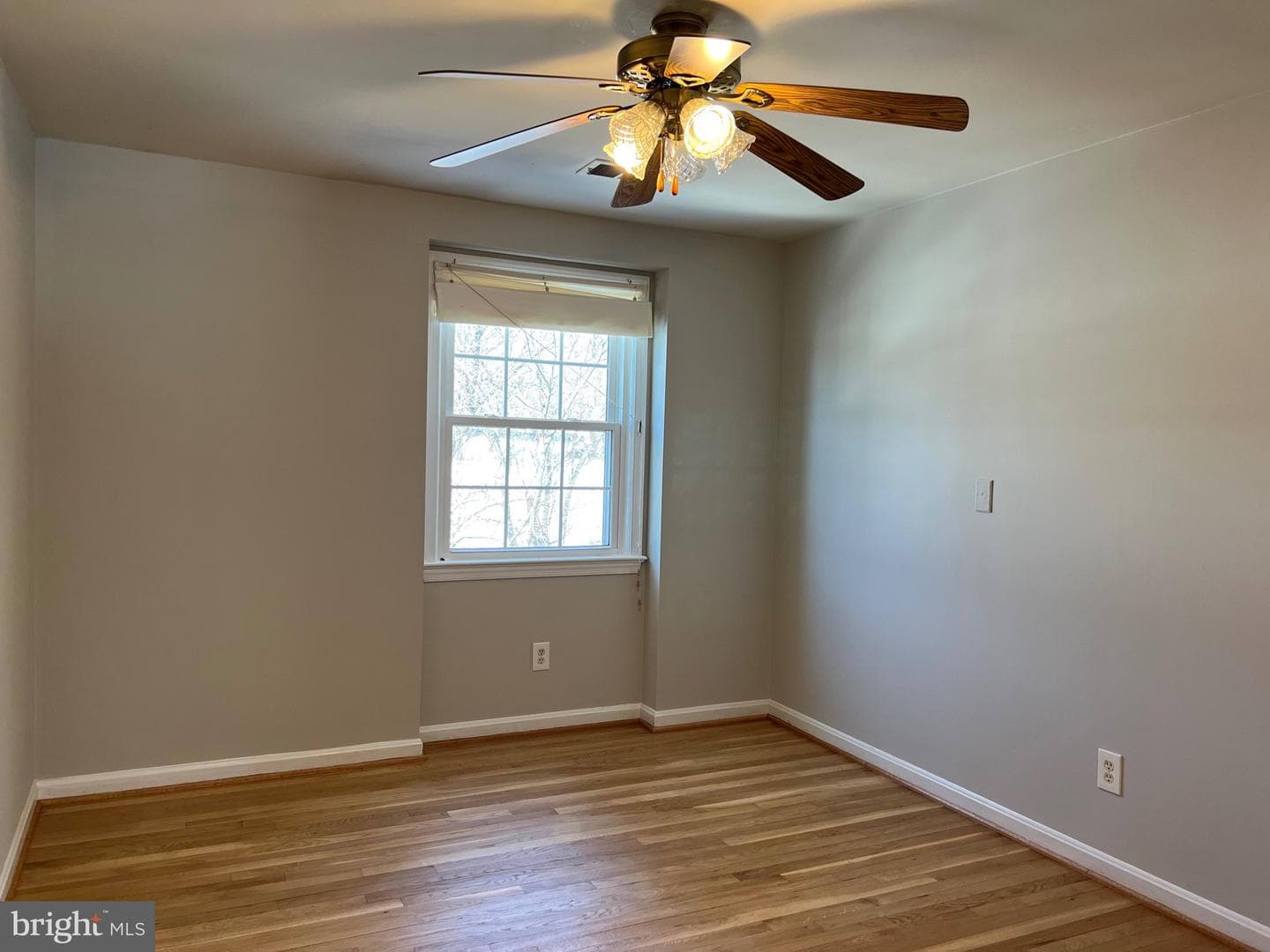 9841 Canal Road photo 19