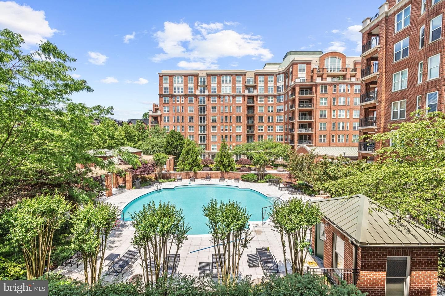 12500 Park Potomac Avenue #404 S photo 3