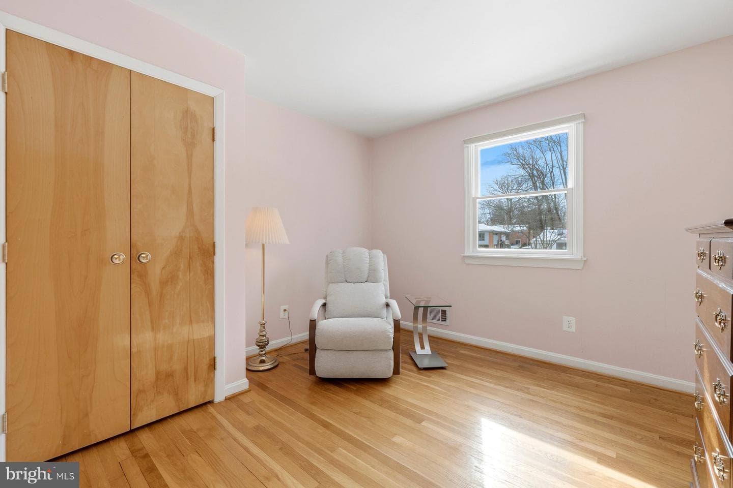 3 Shannon Court photo 15