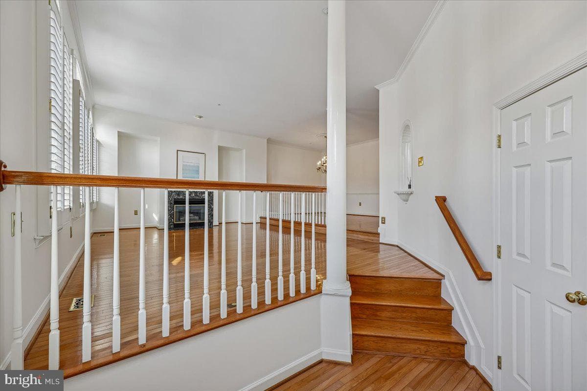 11417 Cedar Ridge Drive photo 4
