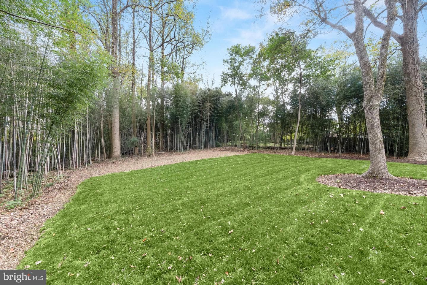 10220 Capitol View Avenue photo 61