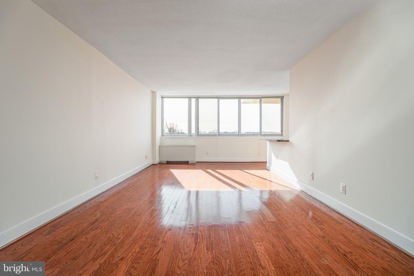 1220 Blair Mill Road #801 photo 2