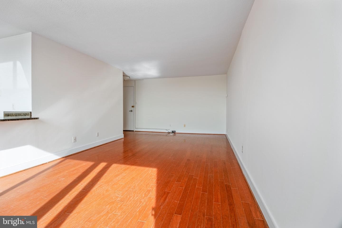 1220 Blair Mill Road #801 photo 3