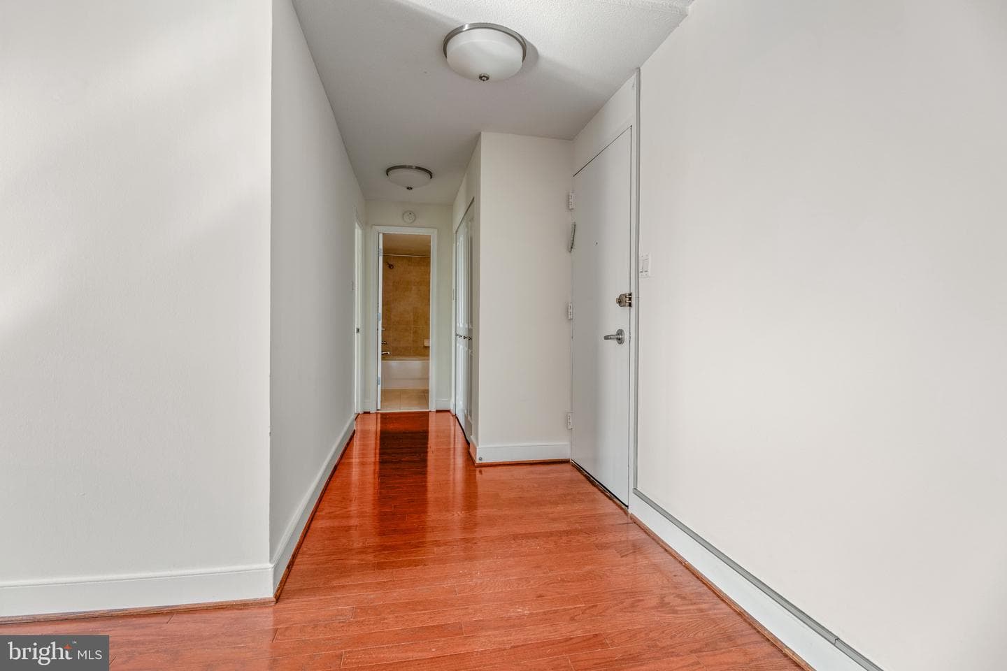 1220 Blair Mill Road #801 photo 4