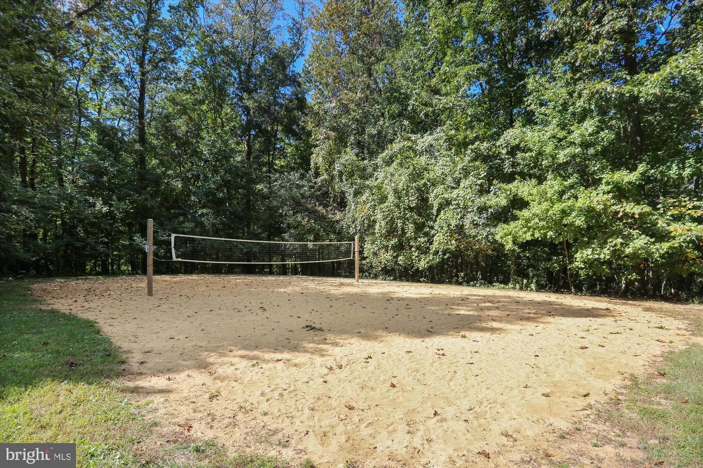 11519 Elk Horn Drive photo 134
