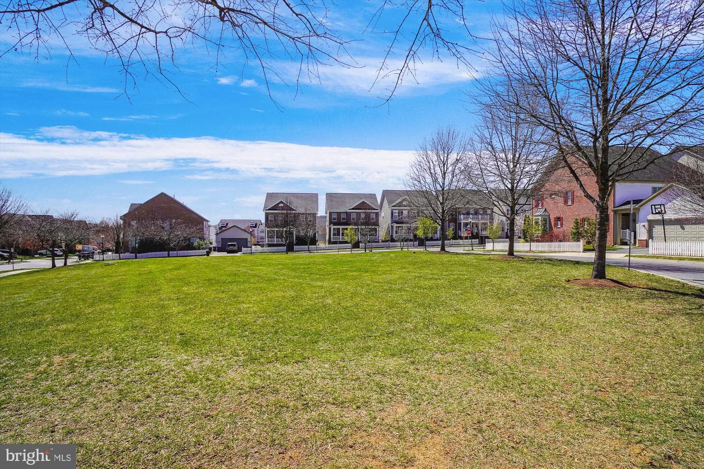 11519 Elk Horn Drive photo 48