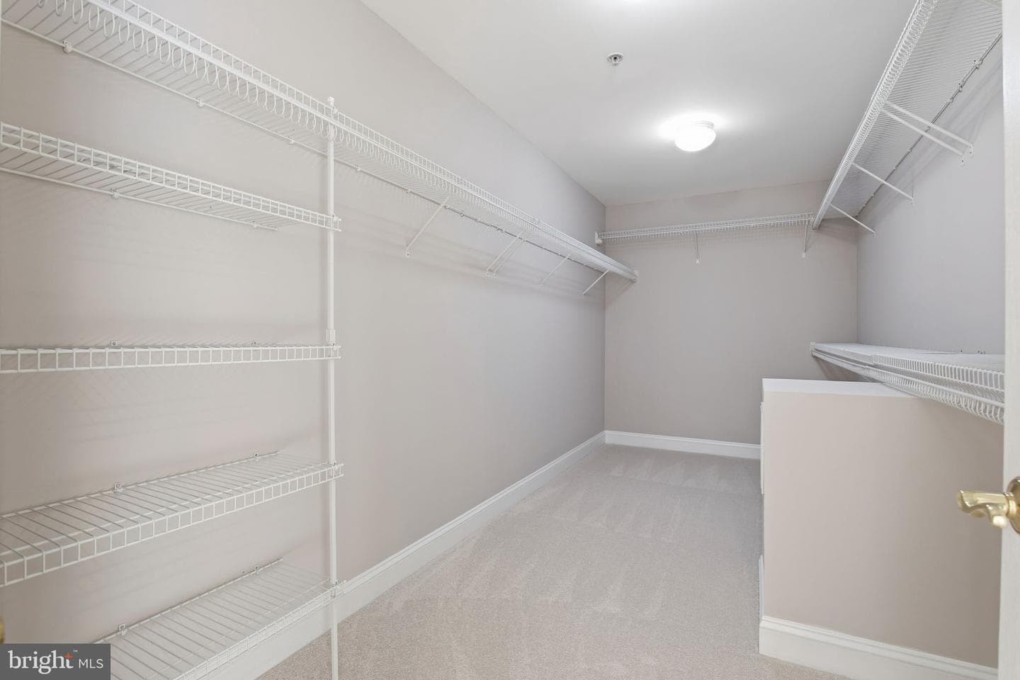 300 Deep Trail Lane photo 29