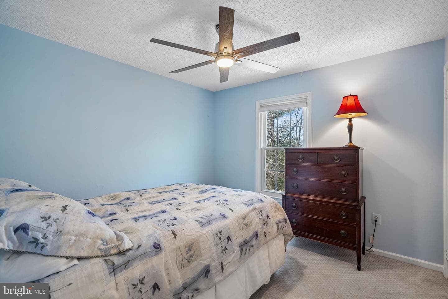 13525 Winding Trail Court photo 28
