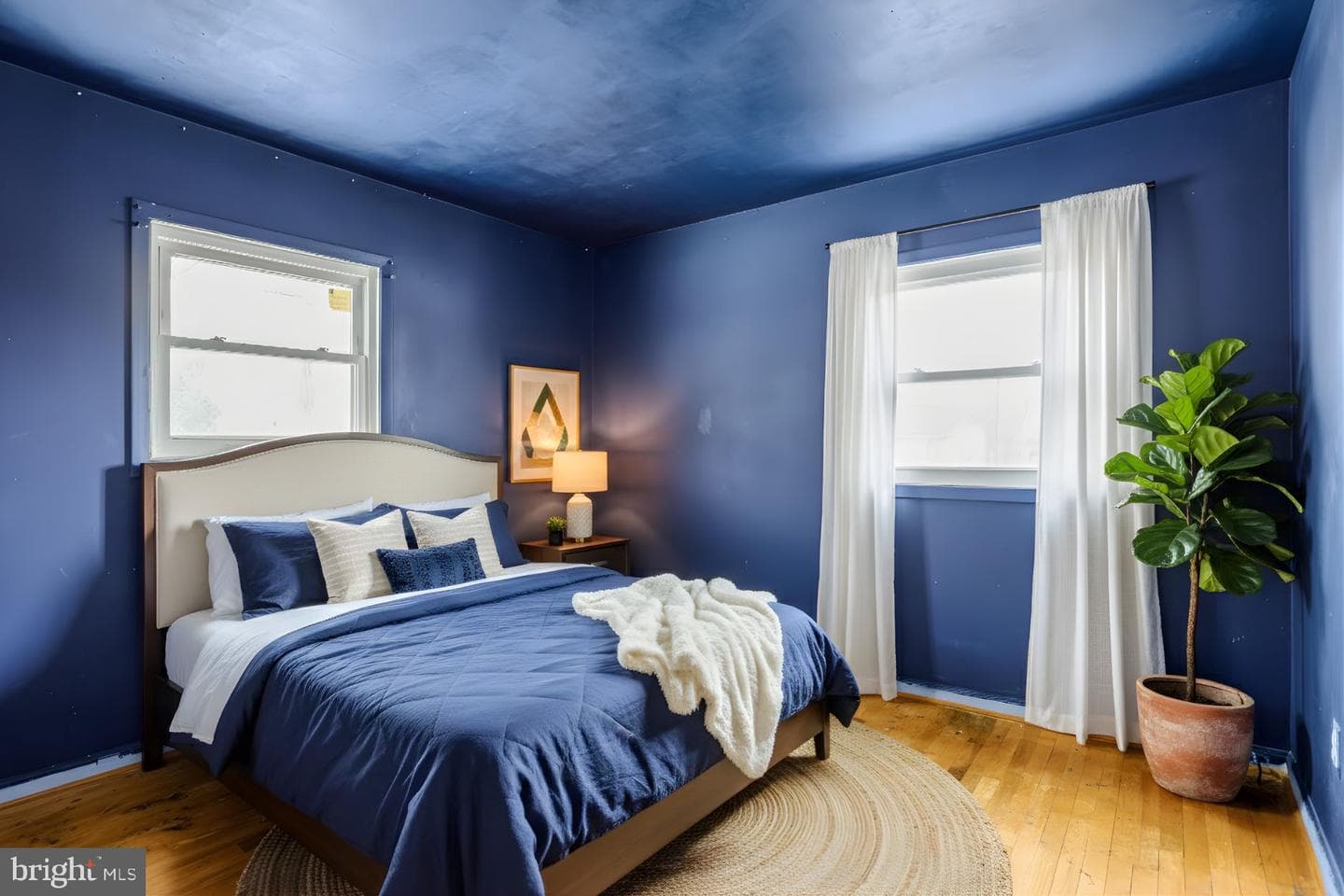 4304 Elizabeth Street photo 6
