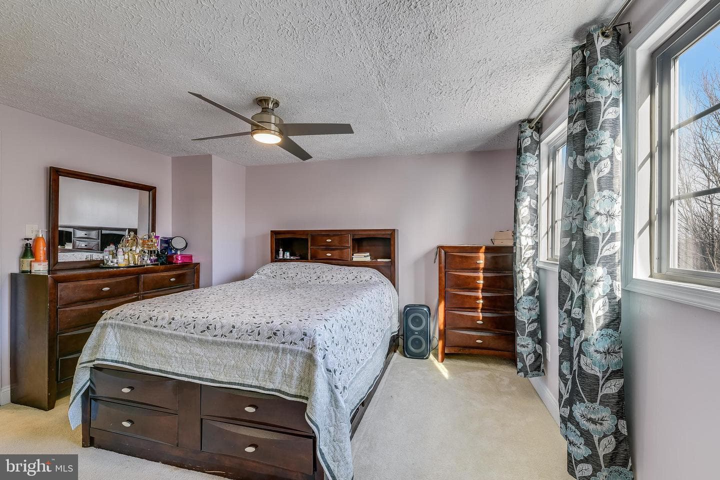 25527 Coltrane Drive photo 15