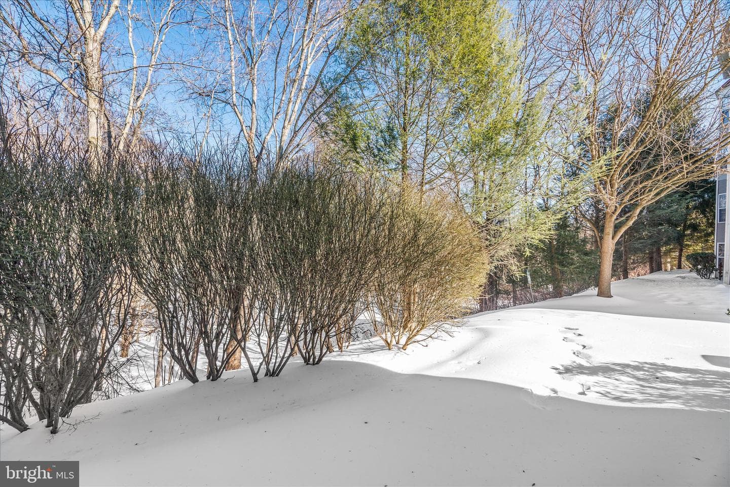18809 Sparkling Water Drive photo 31