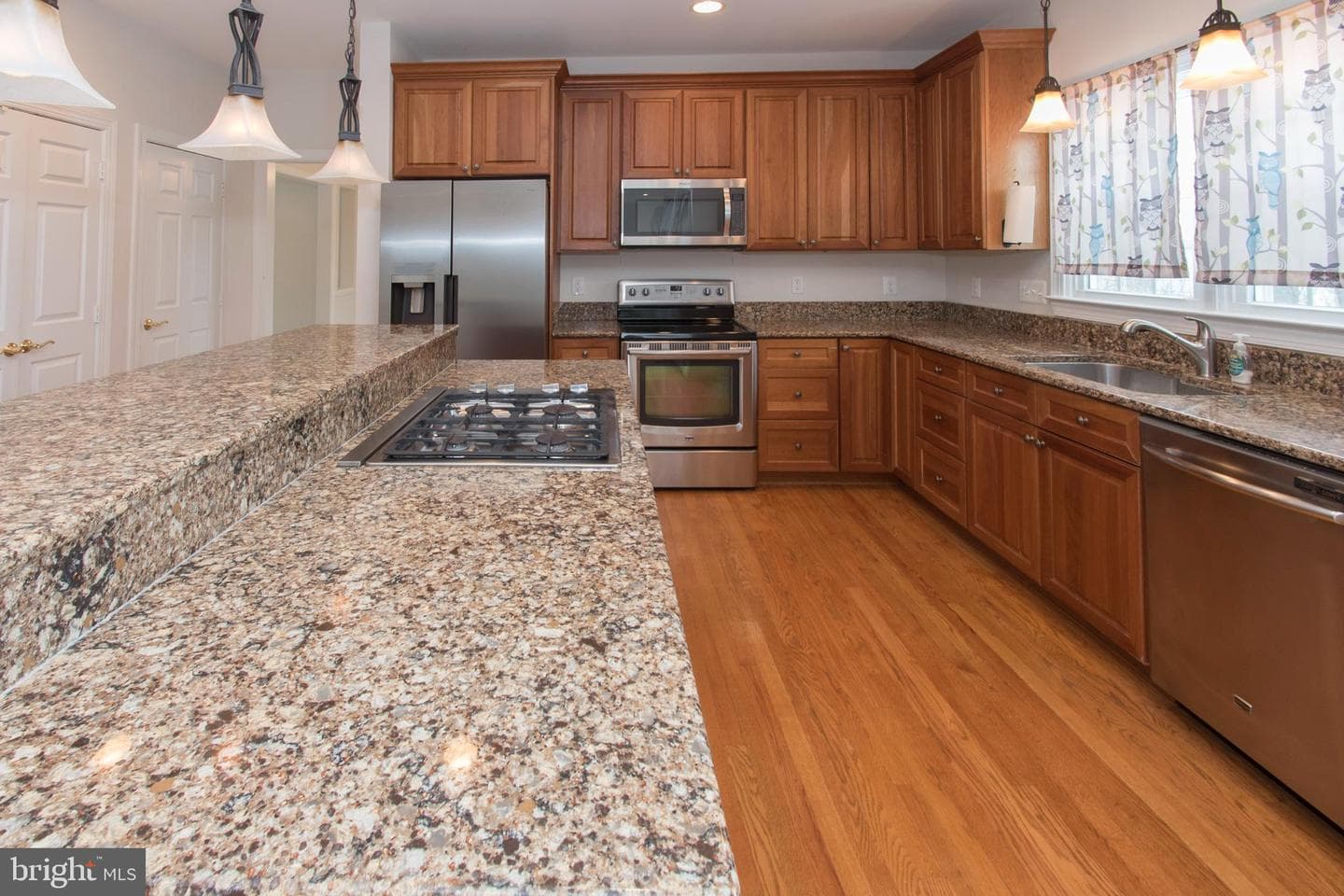 10817 Maplecrest Ln photo 9