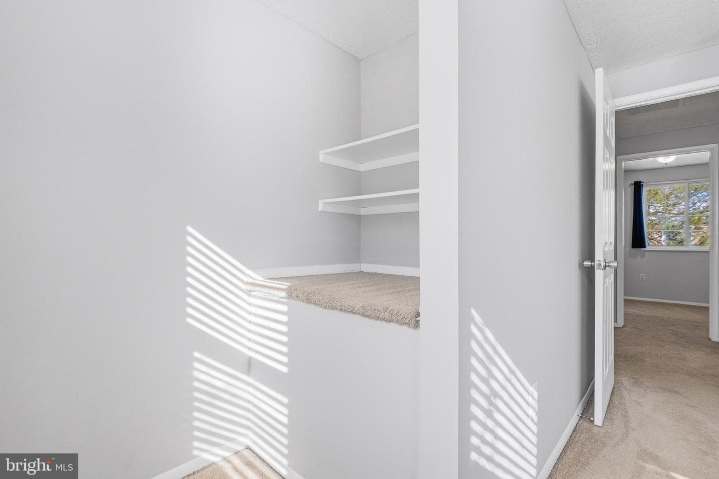 7802 Epsilon Drive photo 34