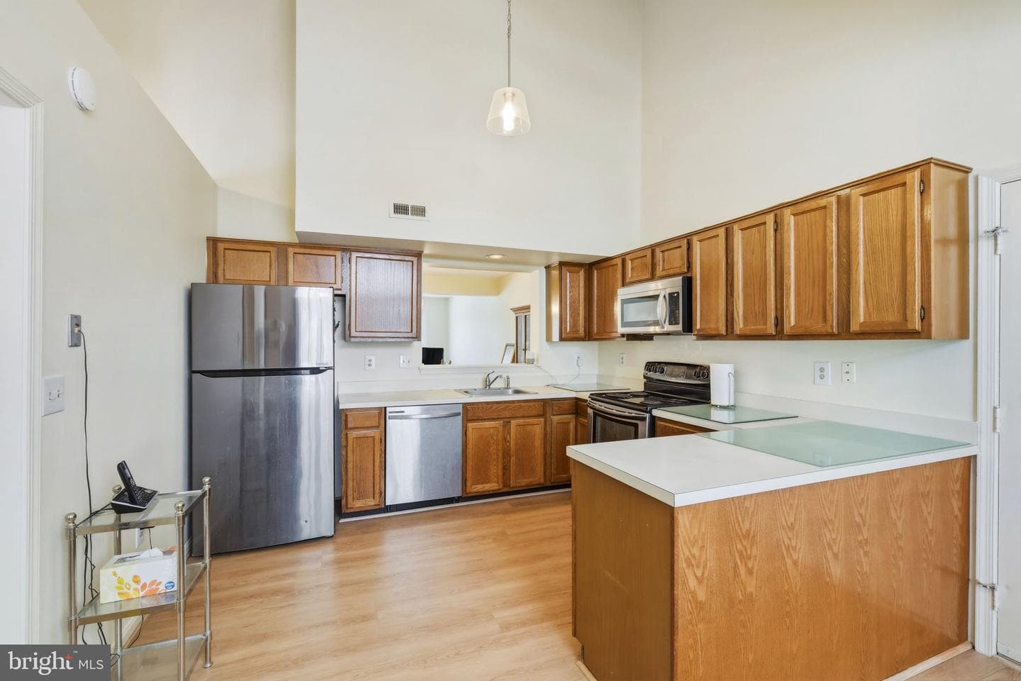 16005 Howard Landing Drive photo 5