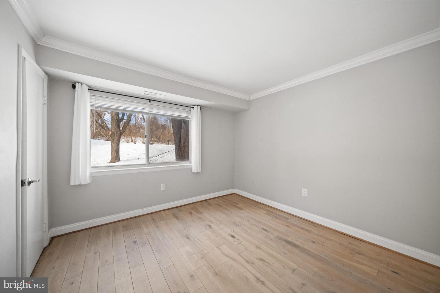 12202 Braxfield Court #5 photo 11