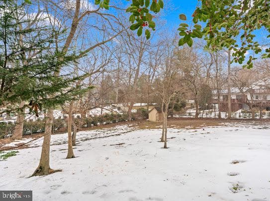 14212 Northwyn Drive photo 64
