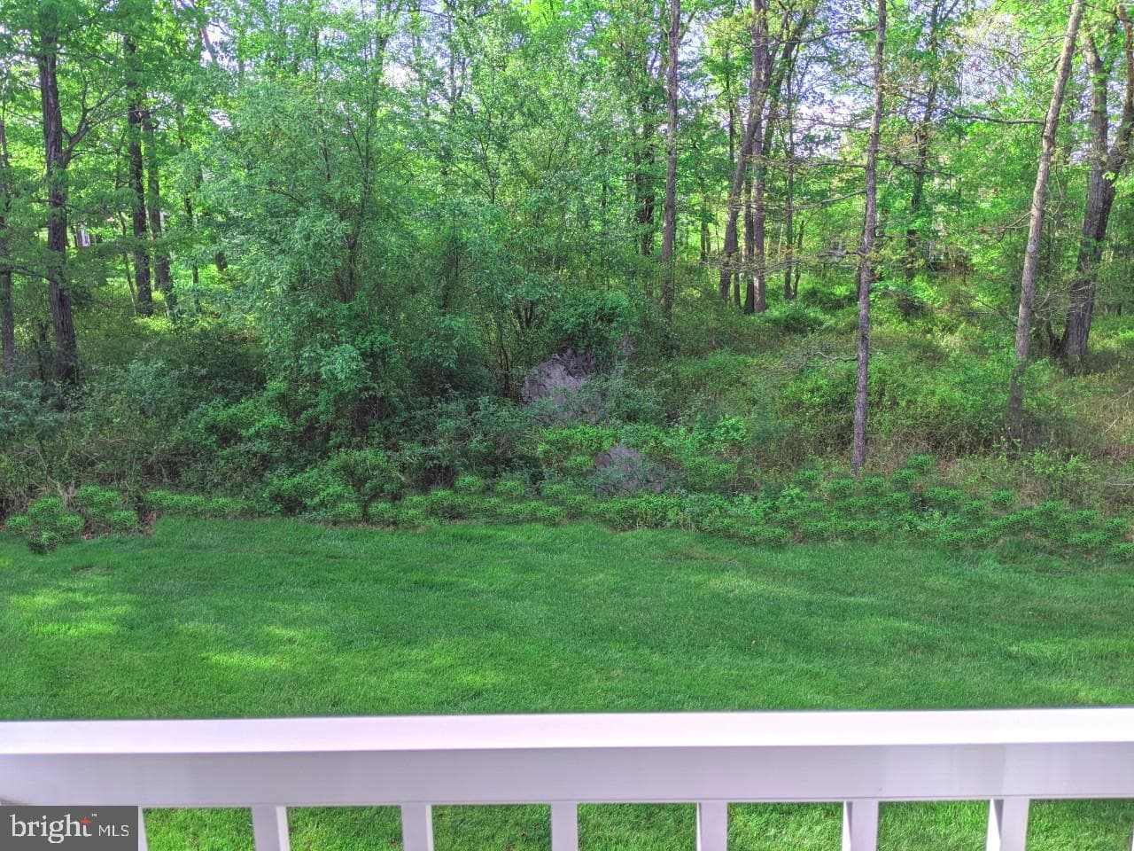 12321 Greenbriar Branch Drive photo 23