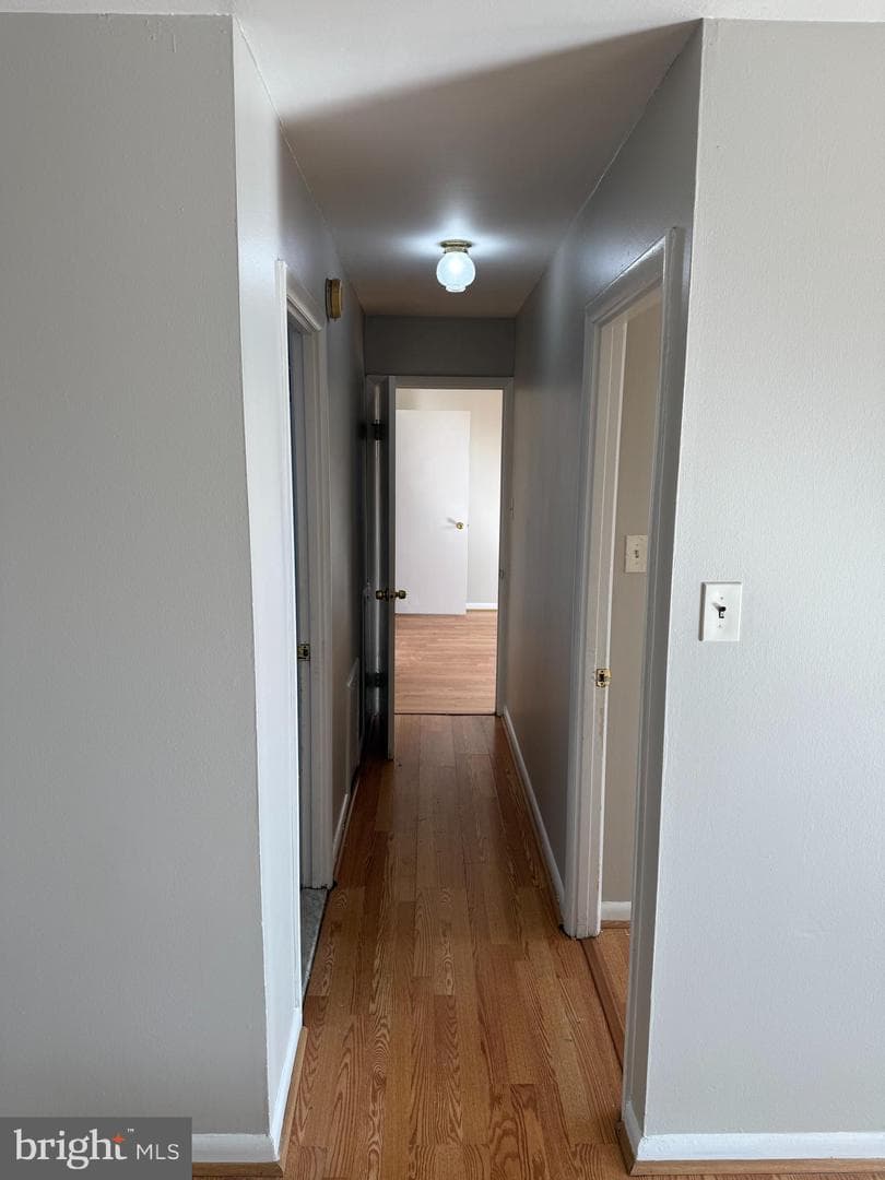 8830 Piney Branch Road #1004 photo 5