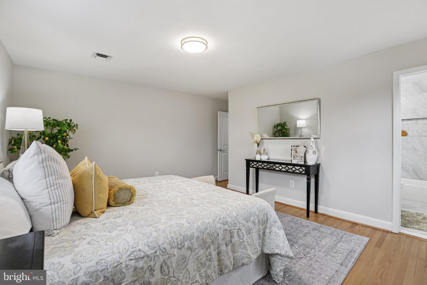 216 Paula Lynn Drive photo 20