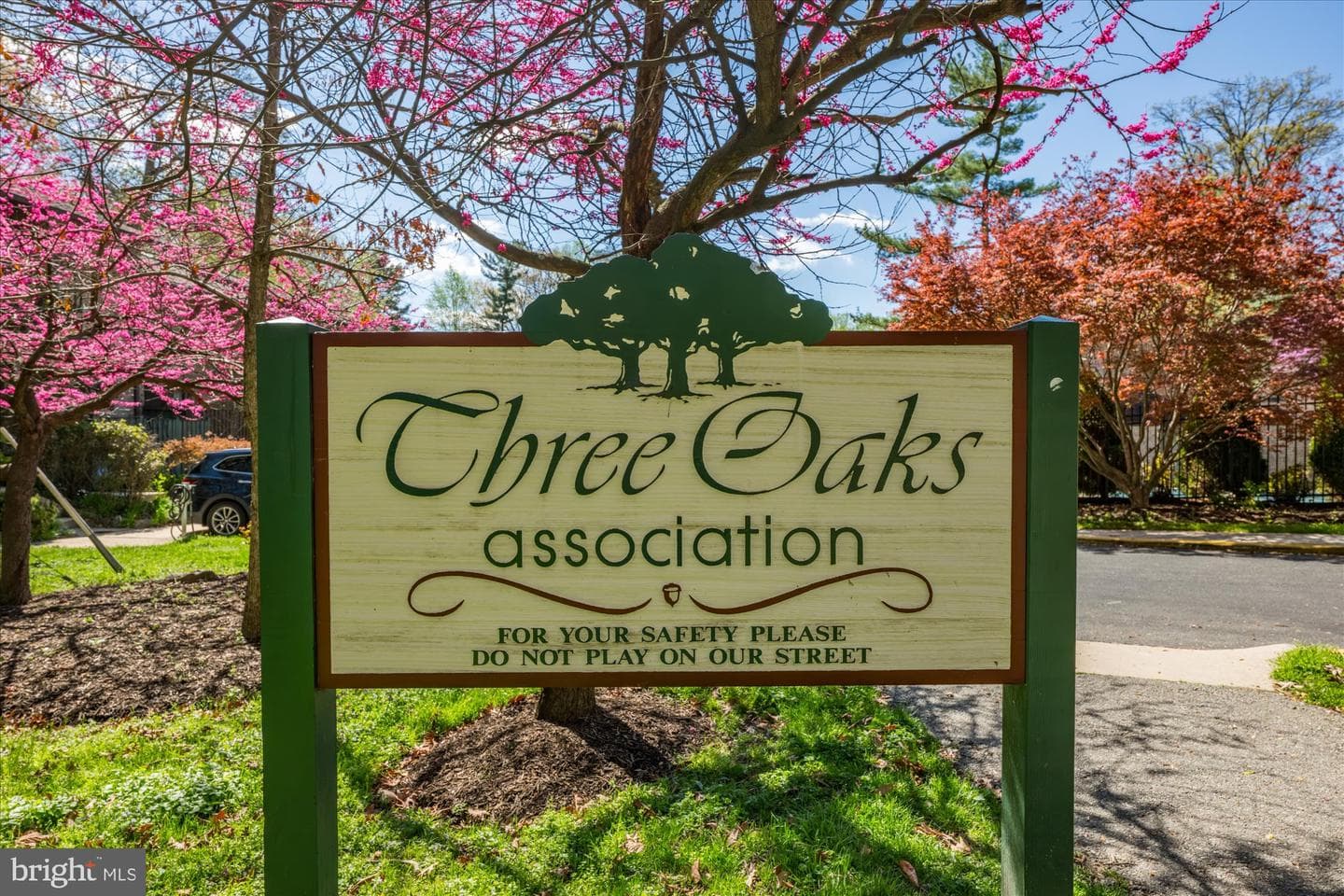 9226 Three Oaks Drive photo 48