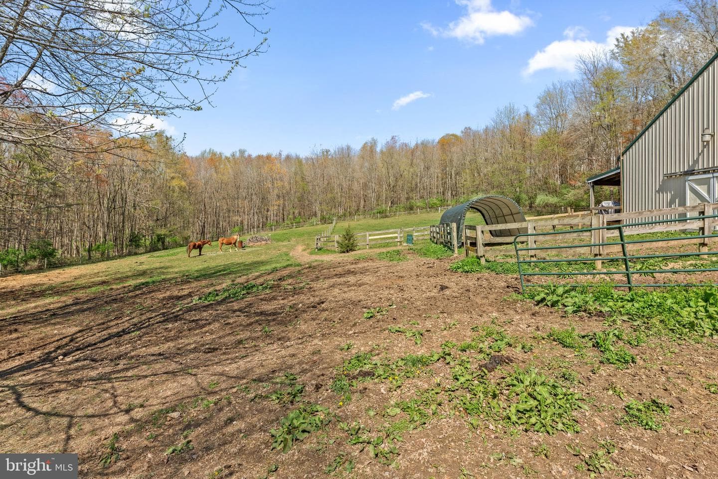 10855 Bethesda Church Road photo 74