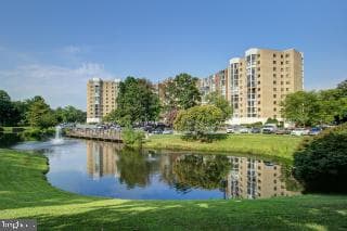 15100 Interlachen Drive #4-407 photo 32