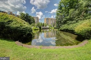 15100 Interlachen Drive #4-407 photo 33