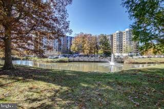 15100 Interlachen Drive #4-407 photo 48