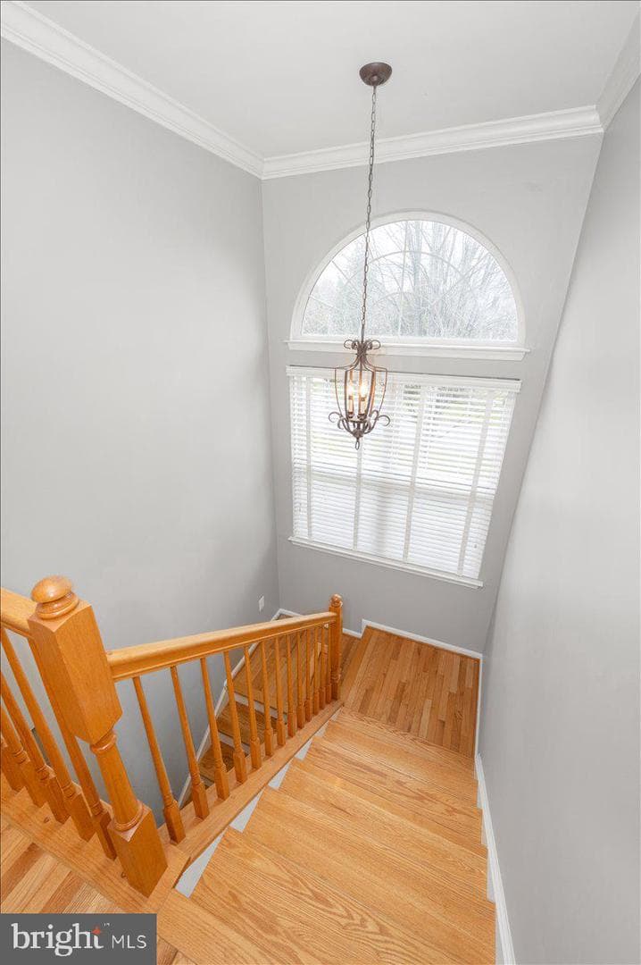 2800 Abbey Manor Circle photo 31